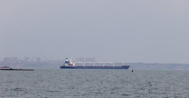 Черное море — из-за ударов РФ по портам, экспорт зерна упадет вдвое