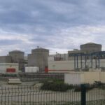 Нашествие медуз привело к остановке одной из крупнейших АЭС Франции