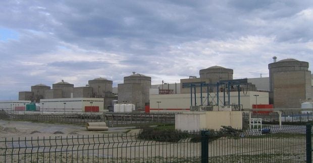 Нашествие медуз привело к остановке одной из крупнейших АЭС Франции