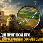 Кому вигідні прогнози про стрімке подорожчання української землі — ЗМІ