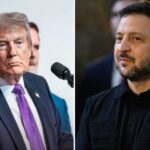 Трамп предложит Зеленскому «отличную идею» на встрече в Нью-Йорке