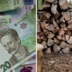 Кому положены выплаты на дрова в размере 8000 гривень: полный список категорий