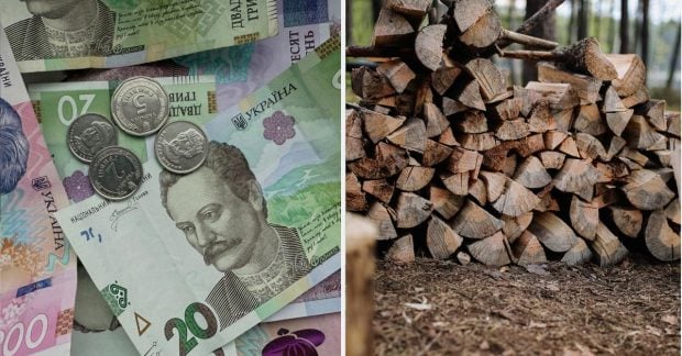 Кому положены выплаты на дрова в размере 8000 гривень: полный список категорий