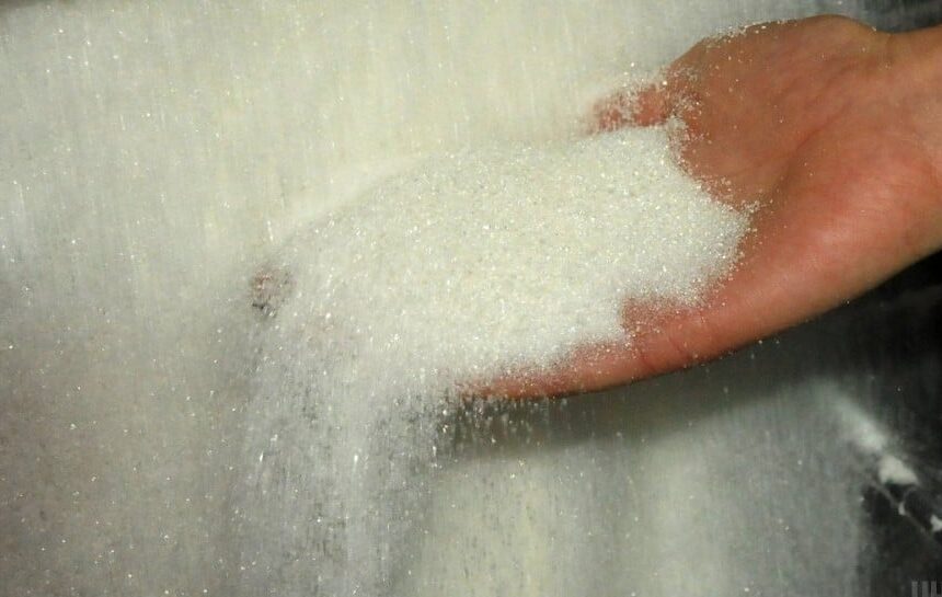 Сахар будет дорожать из-за дефицита: Эль-Ниньо создает проблемы