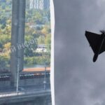Южный мост в Киеве попал под удар РФ: как теперь курсирует транспорт