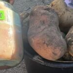 на Волыни собрали богатый урожай