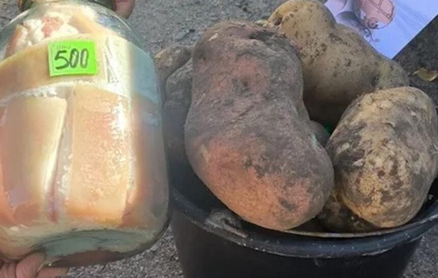 на Волыни собрали богатый урожай