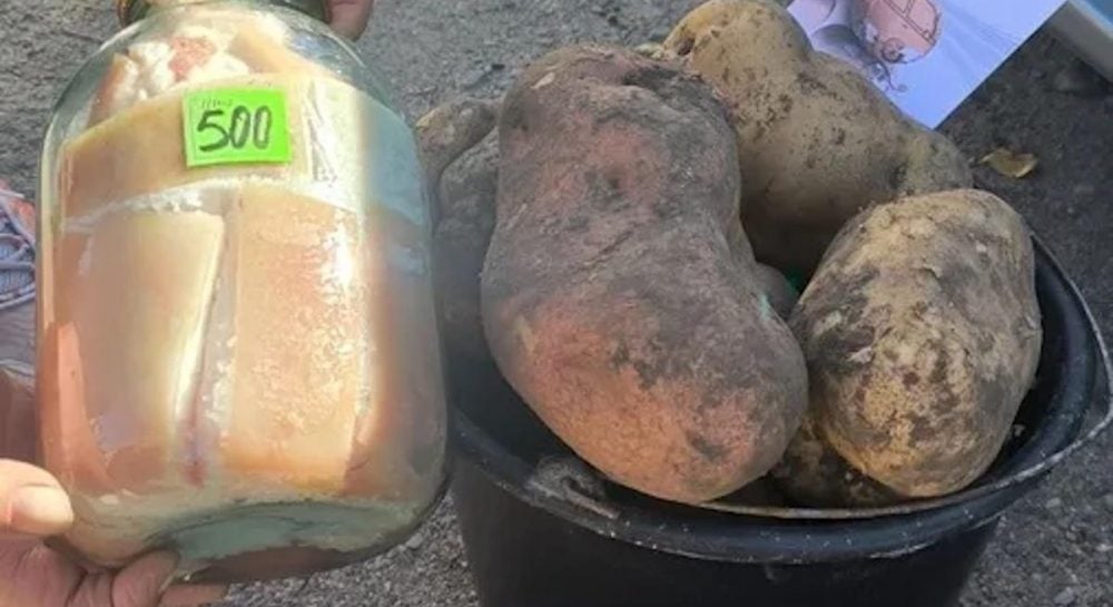 на Волыни собрали богатый урожай