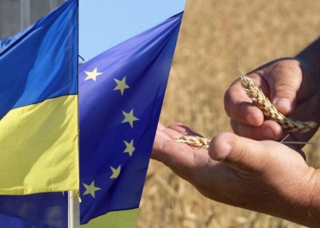 Высоцкий заявил, что Украину не устраивают ограничения в агросекторе