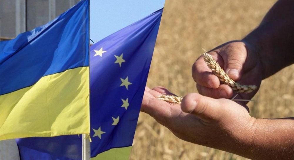 Высоцкий заявил, что Украину не устраивают ограничения в агросекторе