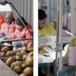 РФ не удалось привлечь трудовых мигрантов из Индии и Афганистана