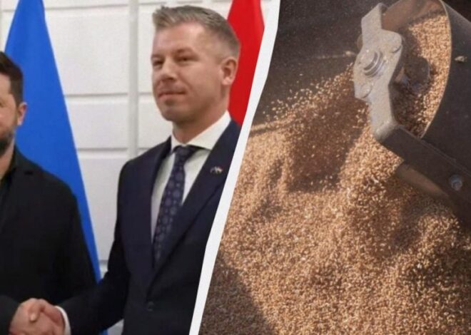 Зеленский просит соседние страны пропускать украинское зерно: Мадяр дал ответ