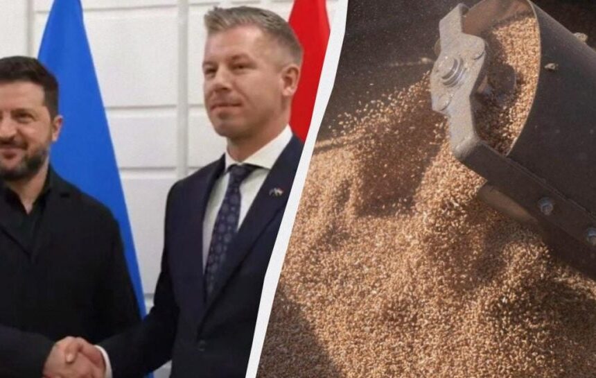 Зеленский просит соседние страны пропускать украинское зерно: Мадяр дал ответ