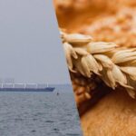 Турция, Египет и Индия готовы перевозить украинские продовольственные товары