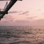 сколько моряков погибли в результате атак на суда